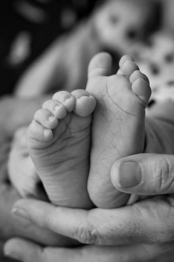 Newborn Photography