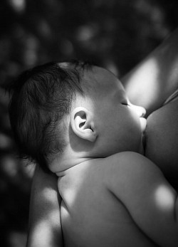Tulum Family Newborn Photographer